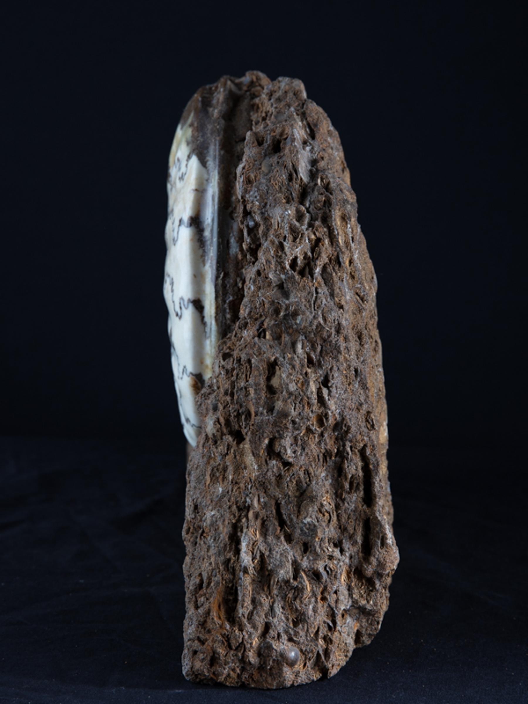 Scunny' scunthorpe ammonite on matrix - St1f0059 7 - F0059