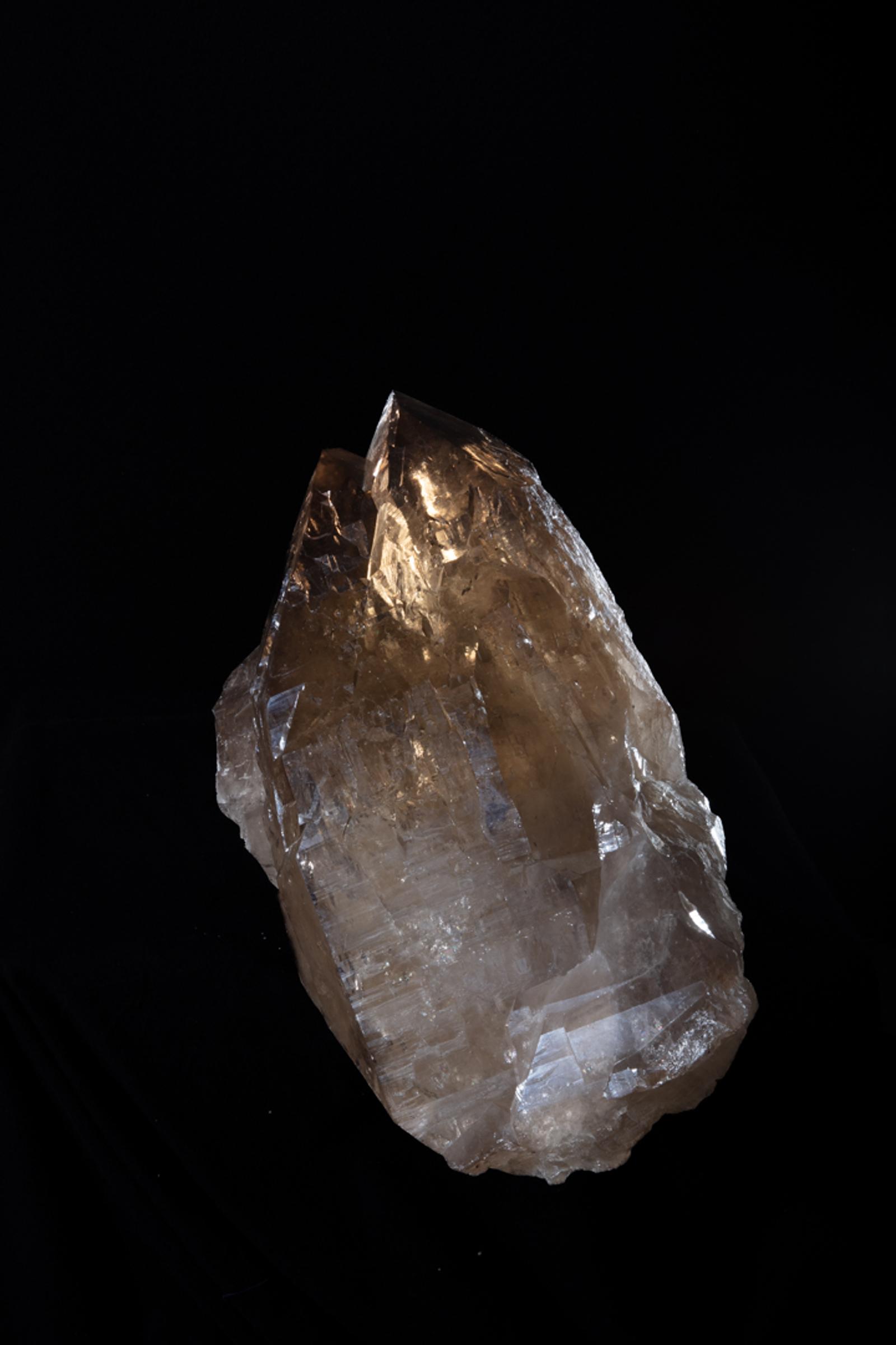 Citrine Membrini - St1galleryc0102 15 - C0102