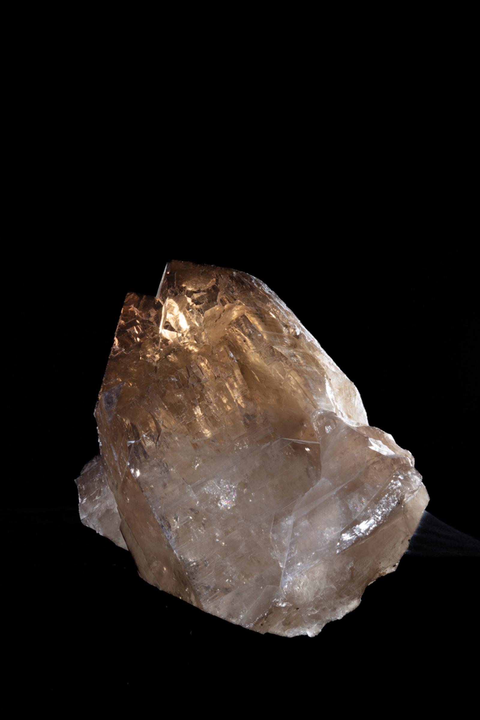 Citrine Membrini - St1galleryc0102 16 - C0102