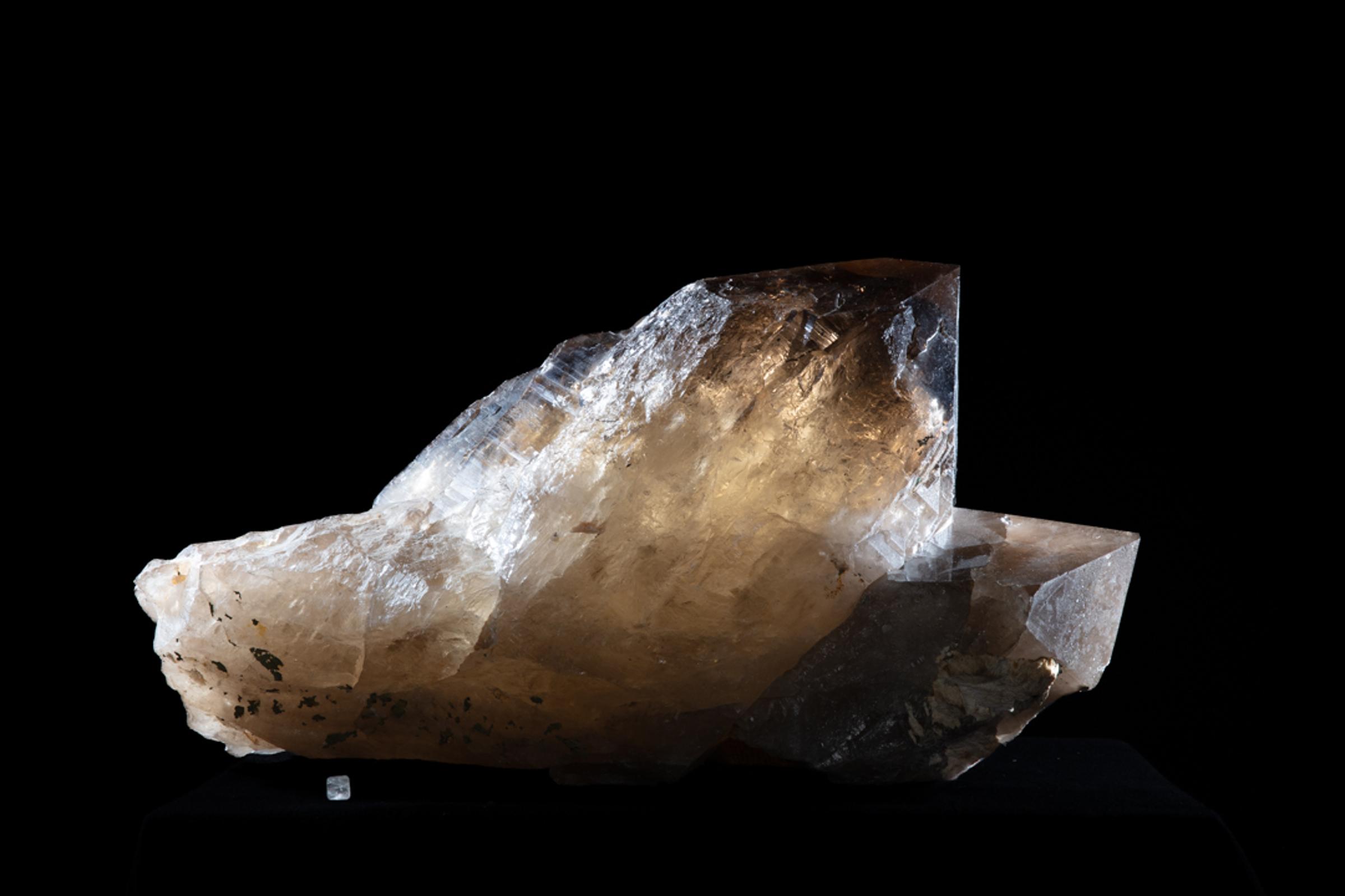 Citrine Membrini - St1galleryc0102 2 - C0102