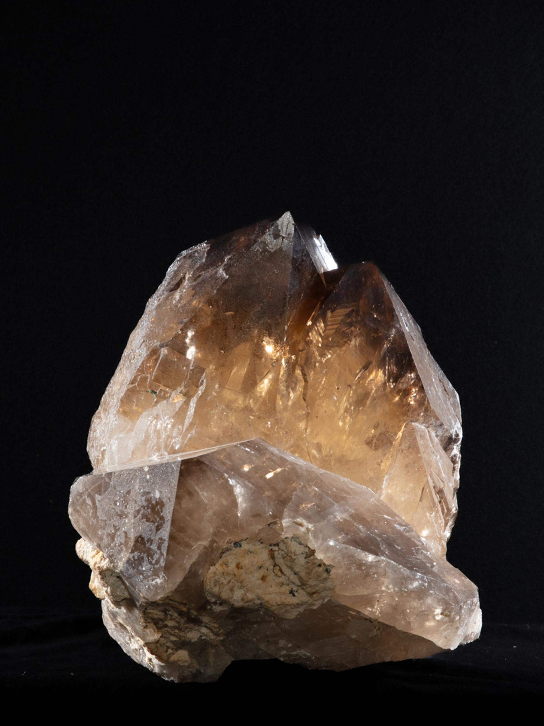 Citrine Membrini - St1galleryc0102 29 - C0102