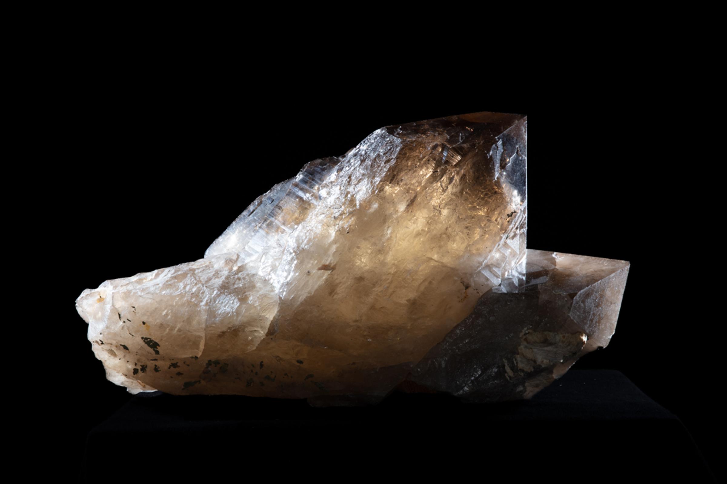 Citrine Membrini - St1galleryc0102 3 - C0102