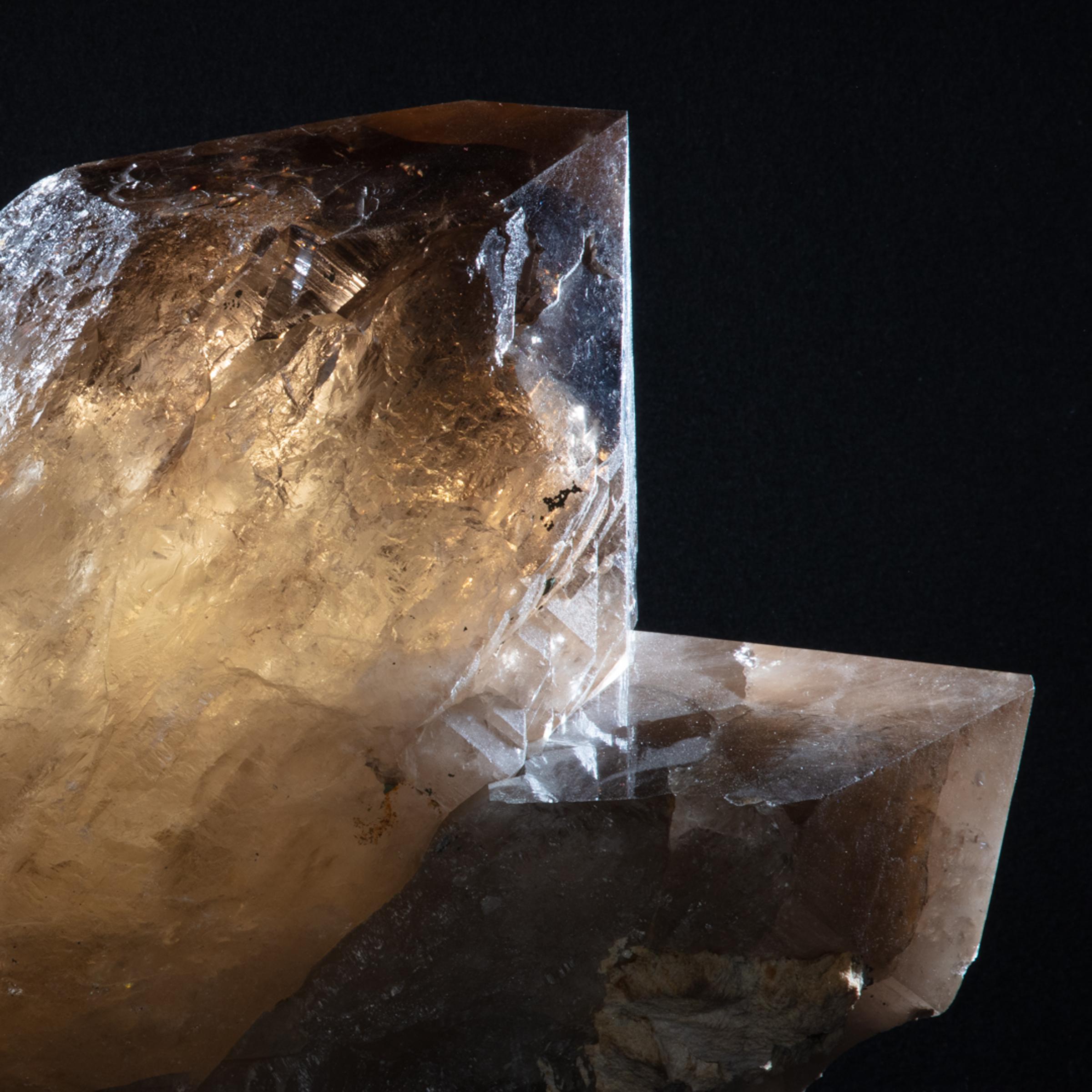 Citrine Membrini - St1galleryc0102 4 - C0102