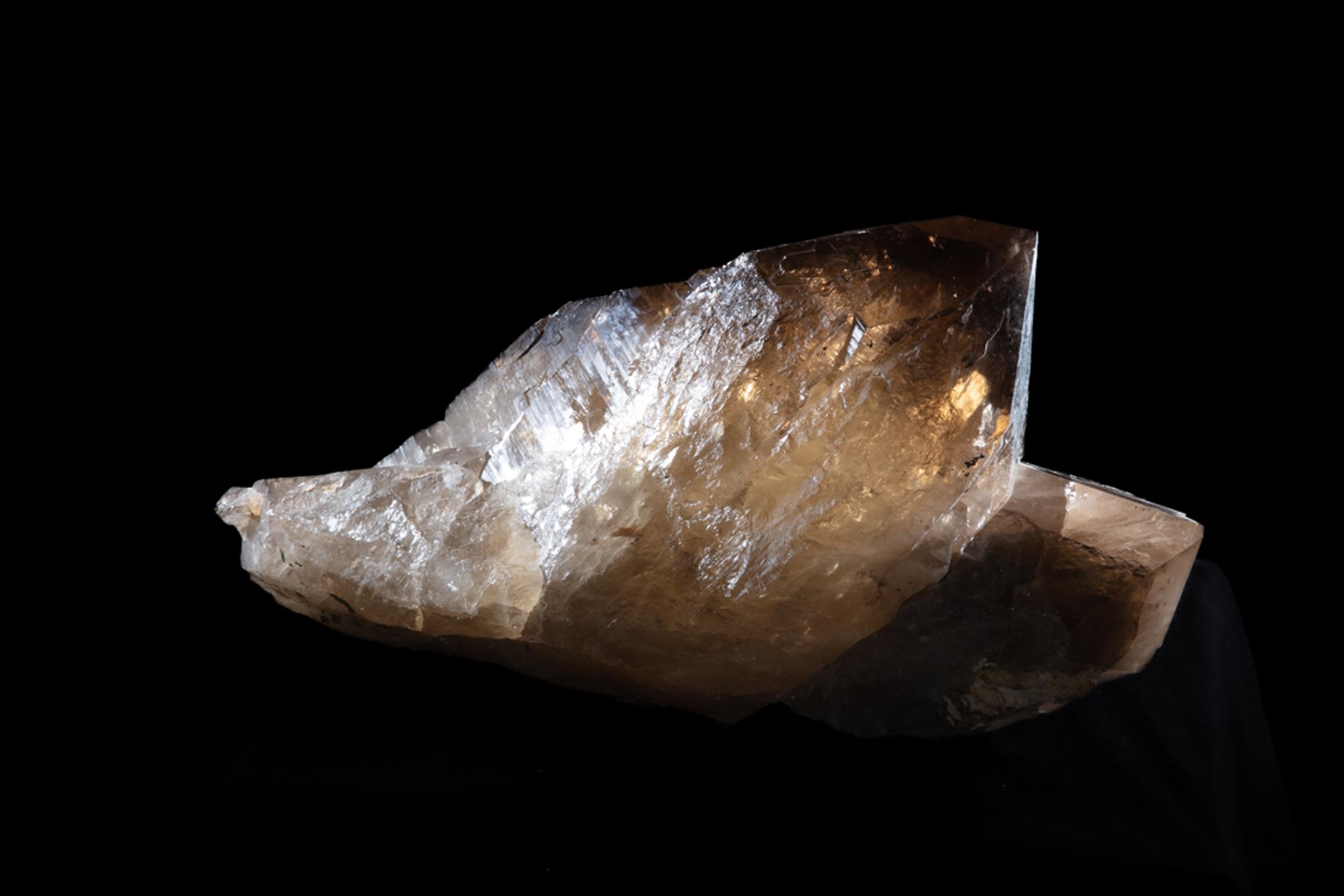 Citrine Membrini - St1galleryc0102 6 - C0102
