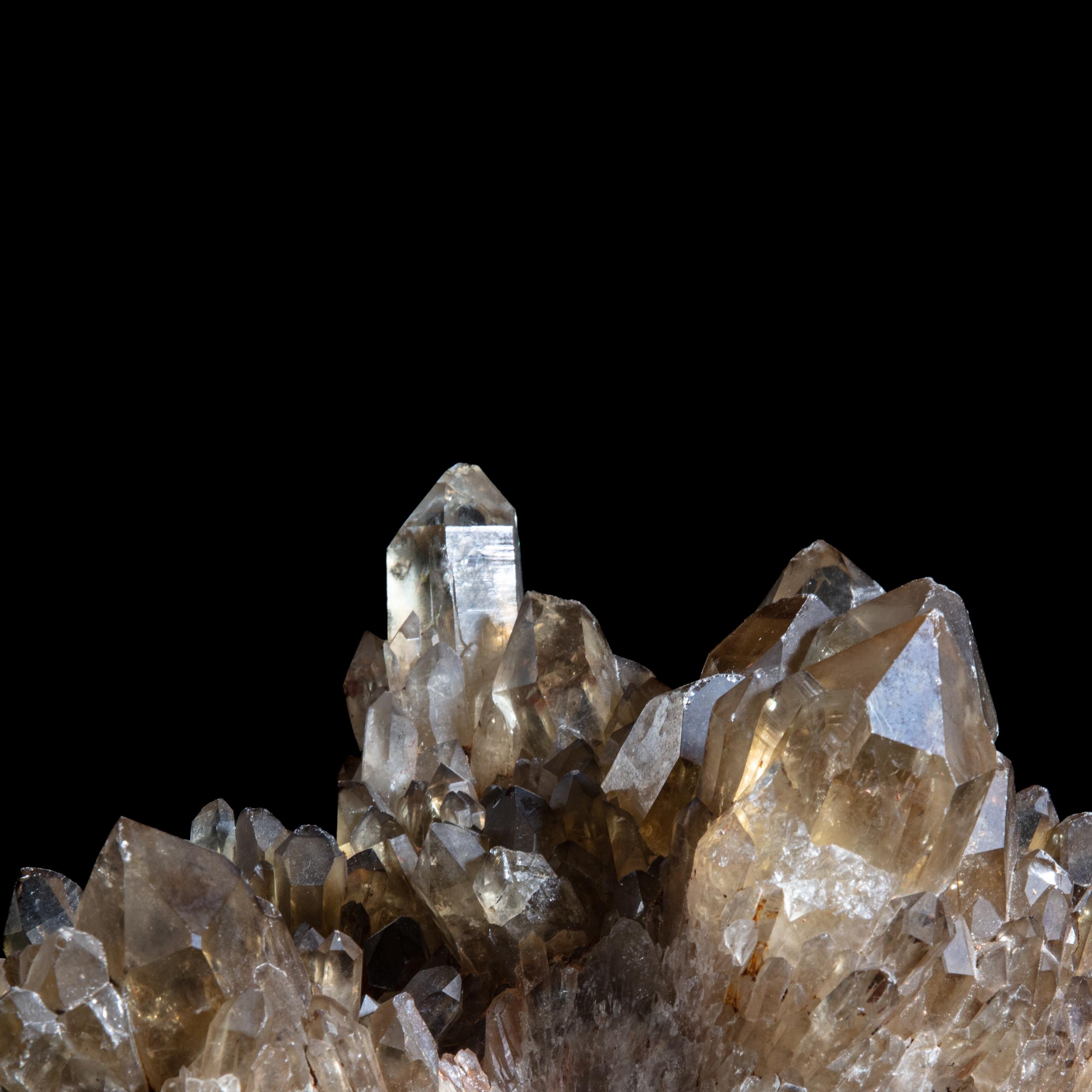 Citrine cluster - St1galleryc0109 9696 - C0109