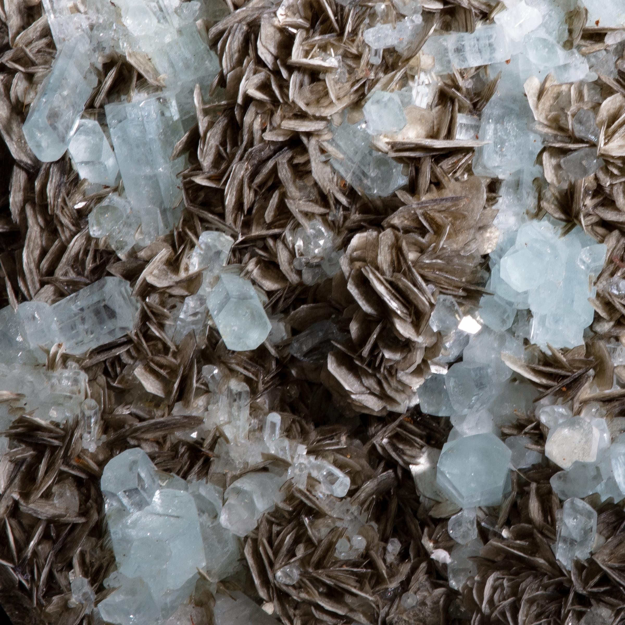 Aquamarine cluster on muscovite - St1galleryv0426 9656 - V0426