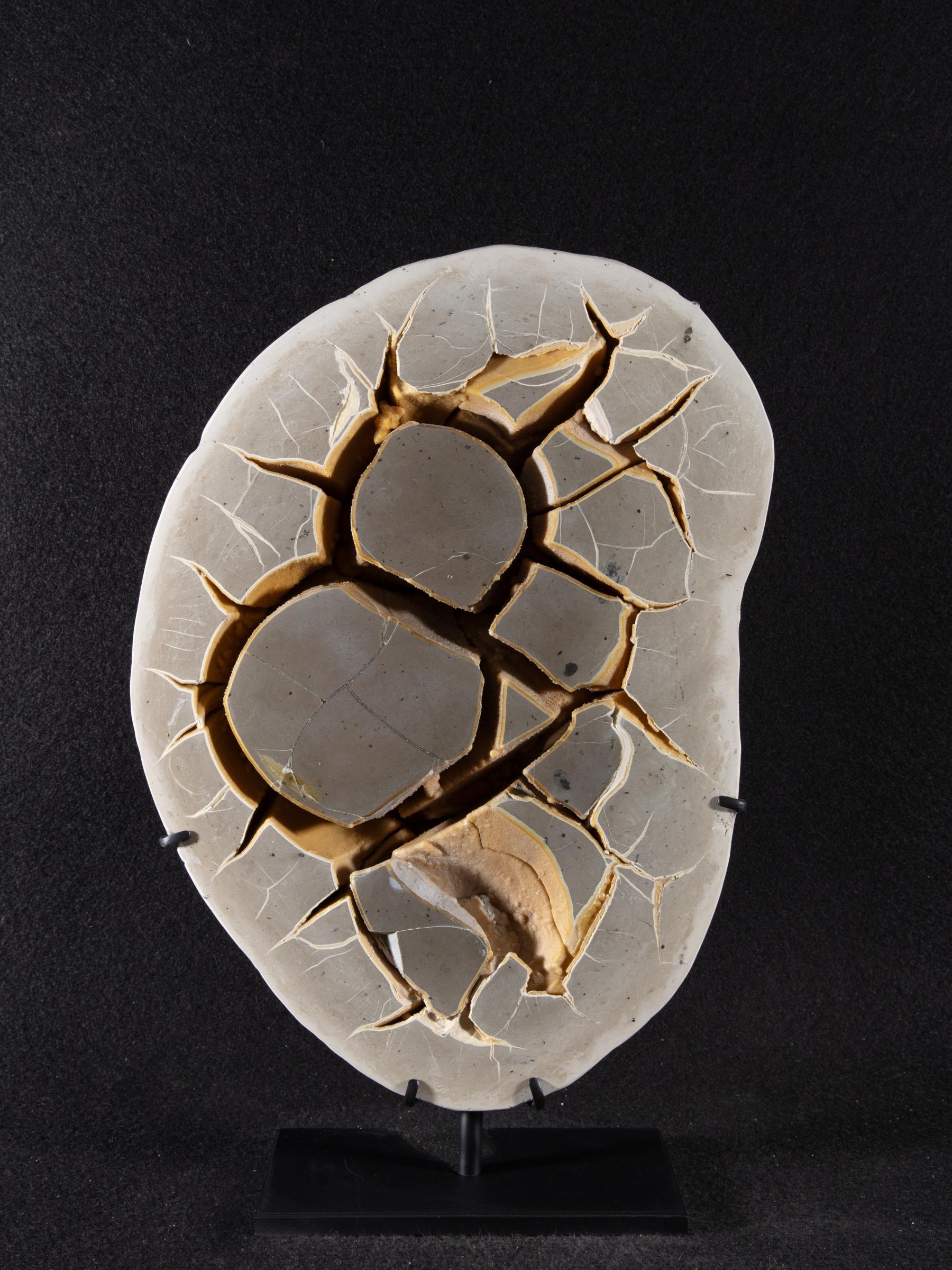Septarian on metal base - St1galleryv0467 0252 - V0467