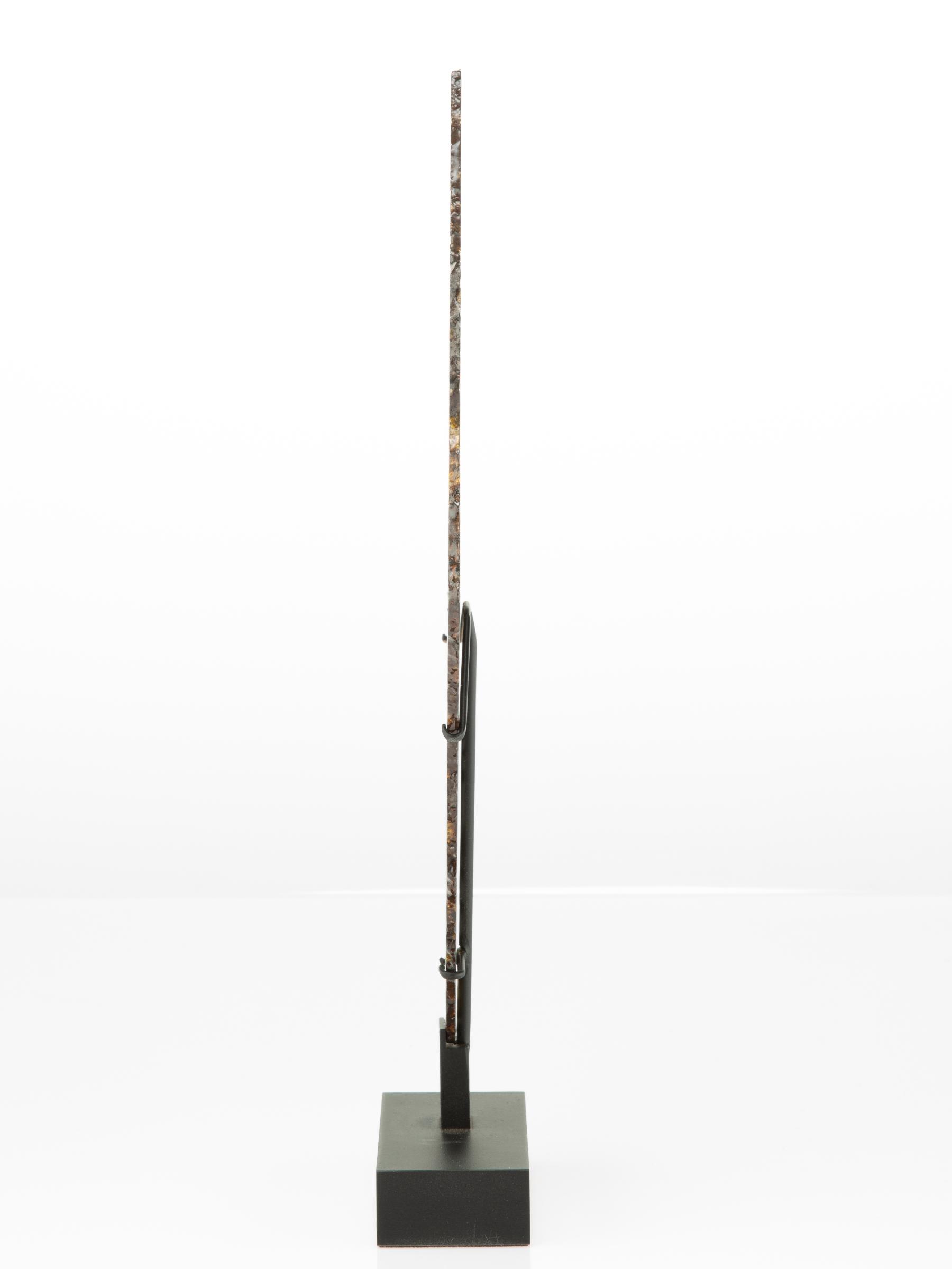 Pallasite on metal base - St1m0031 4 - M0031