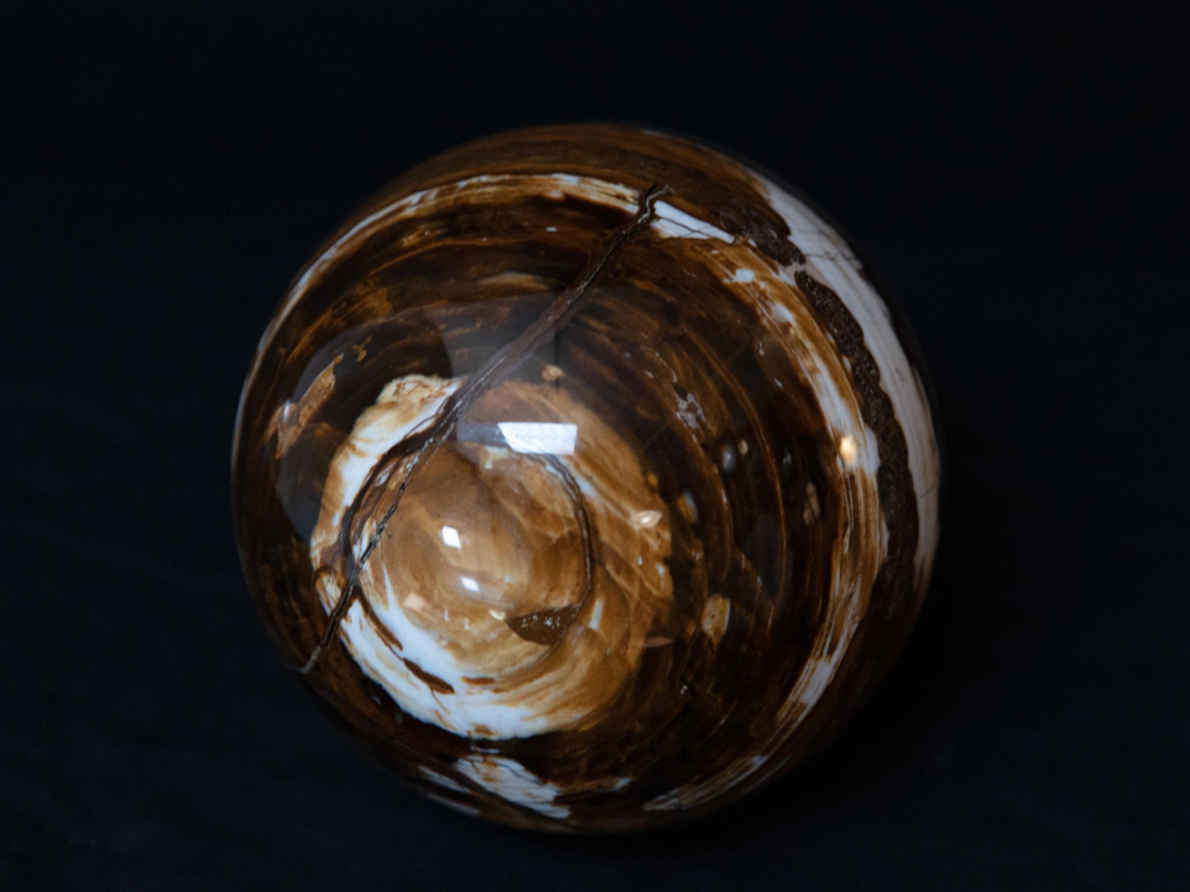 Sphere of petrified wood - St1o0102 4 - O0102