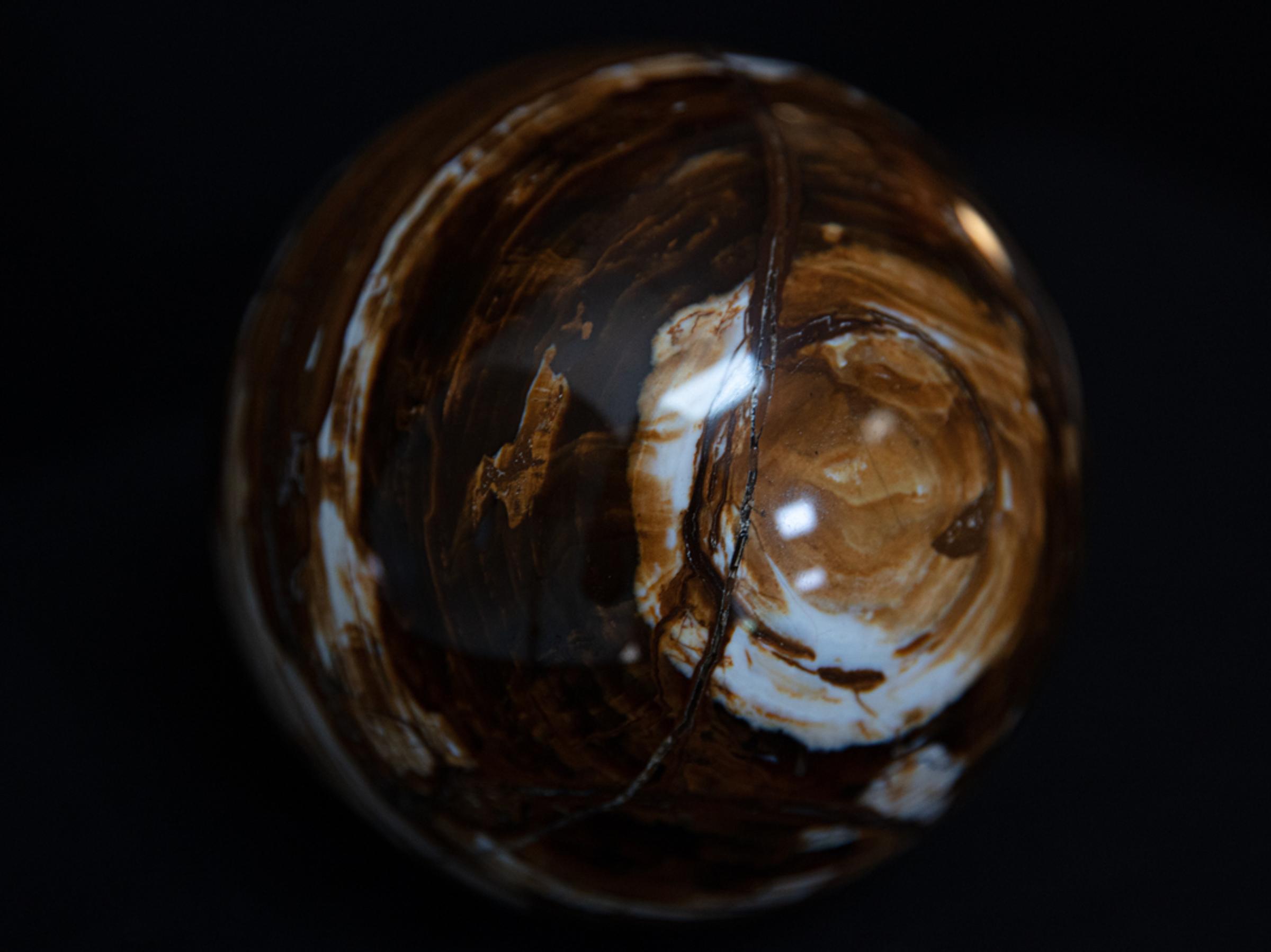 Sphere of petrified wood - St1o0102 5 - O0102