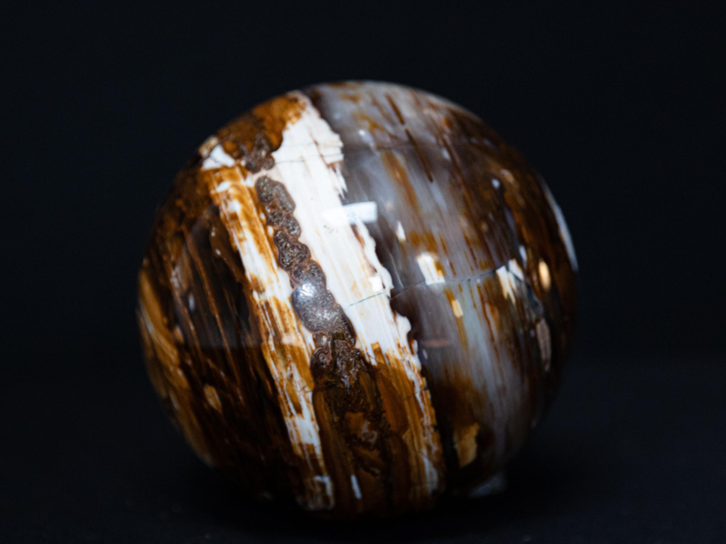 Sphere of petrified wood - St1o0102 6 - O0102