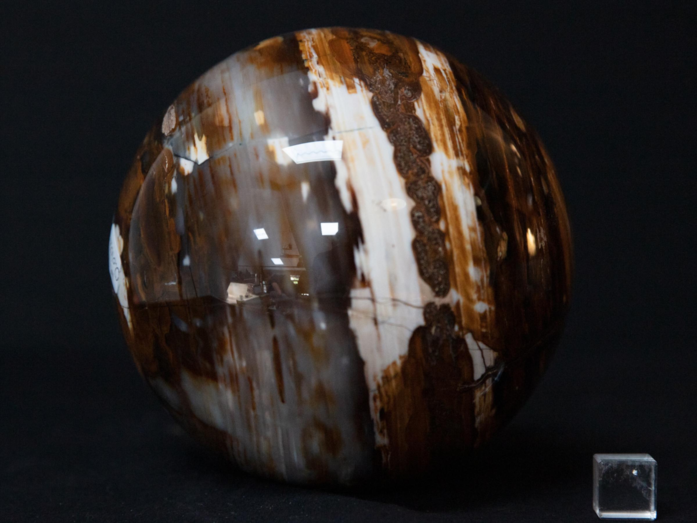 Sphere of petrified wood - St1o0102 - O0102