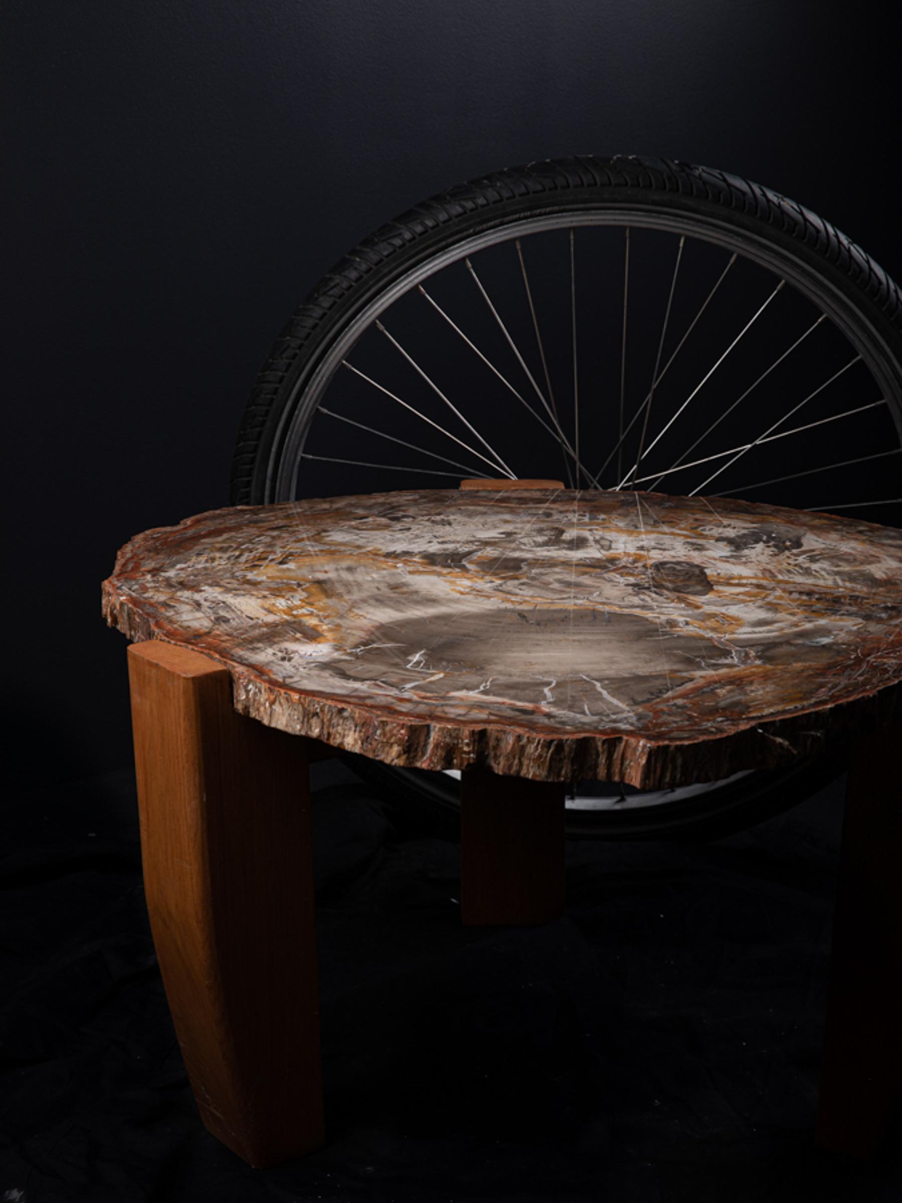 Petrified wood table - St1v0040 2 - V0040