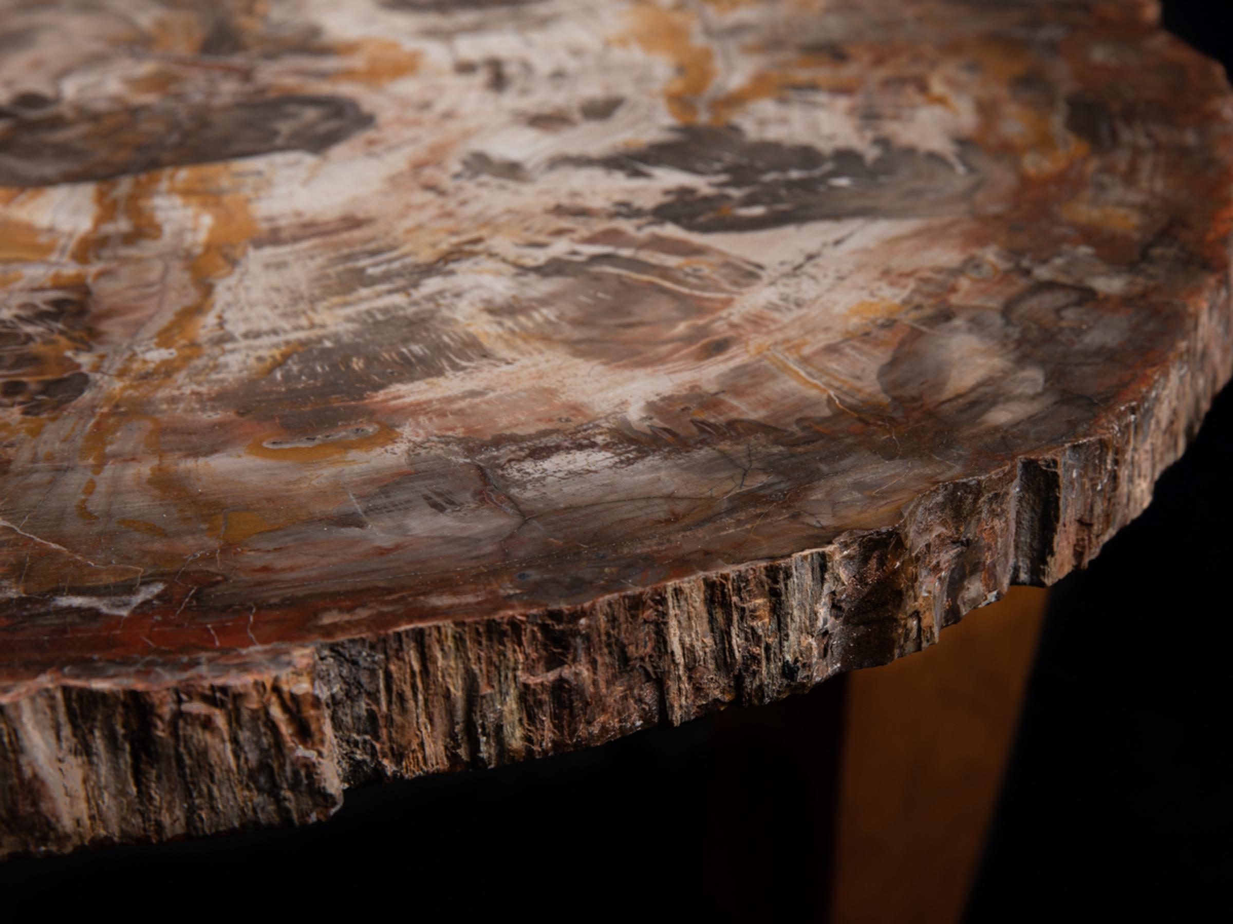 Petrified wood table - St1v0040 4 - V0040