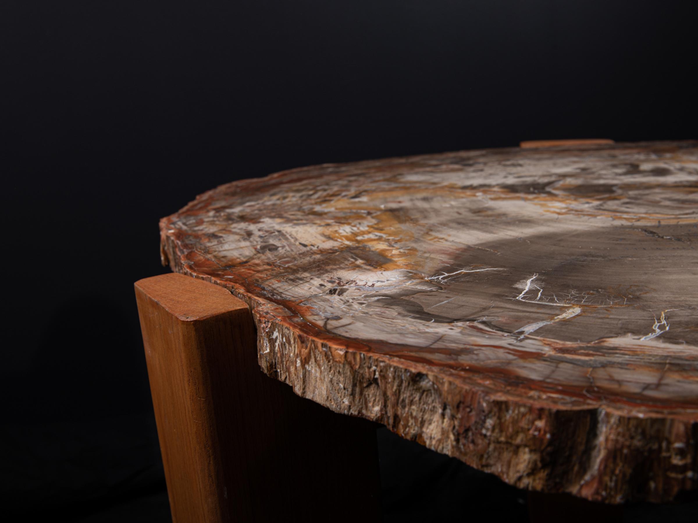 Petrified wood table - St1v0040 5 - V0040
