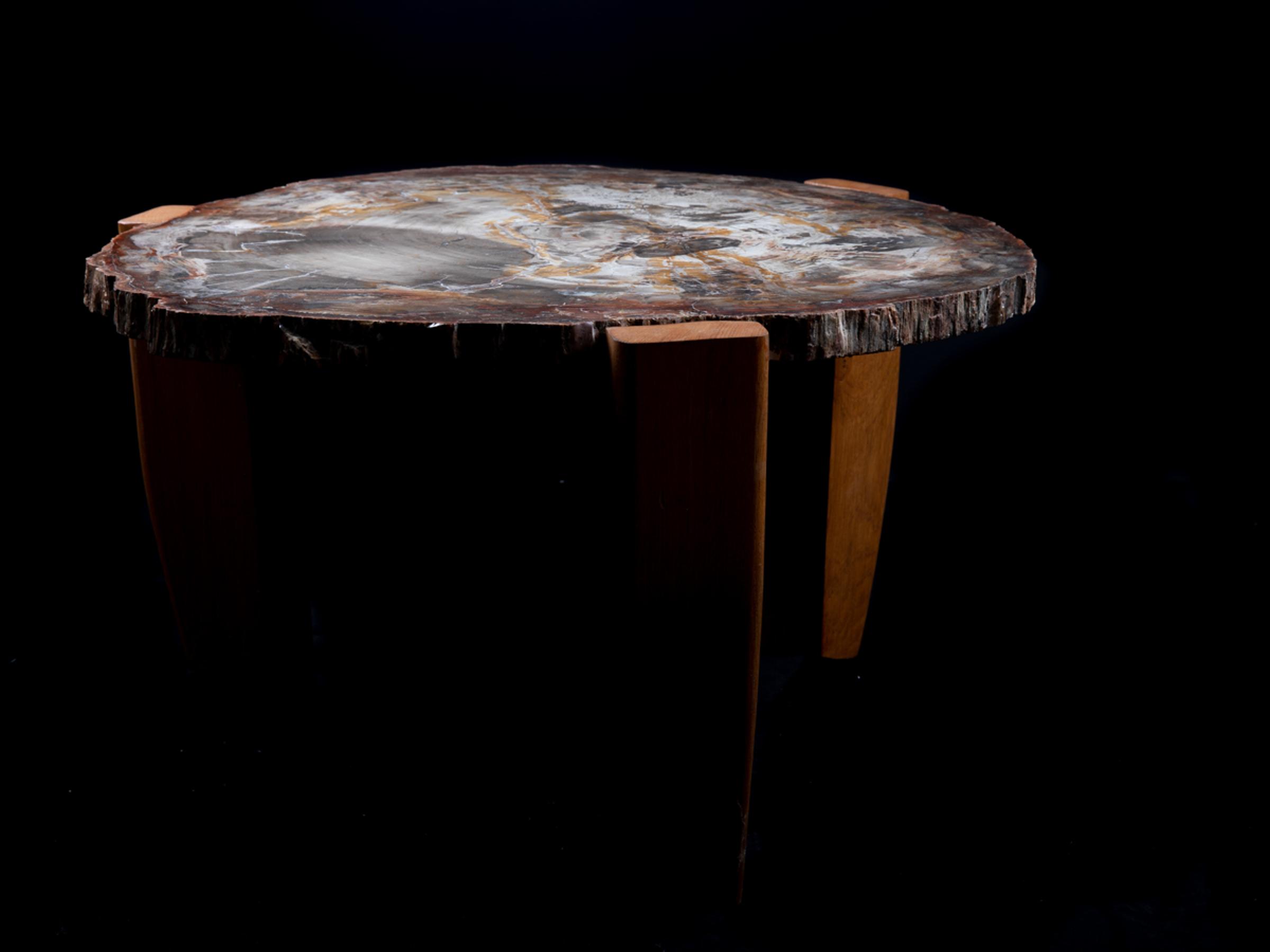 Petrified wood table - St1v0040 - V0040