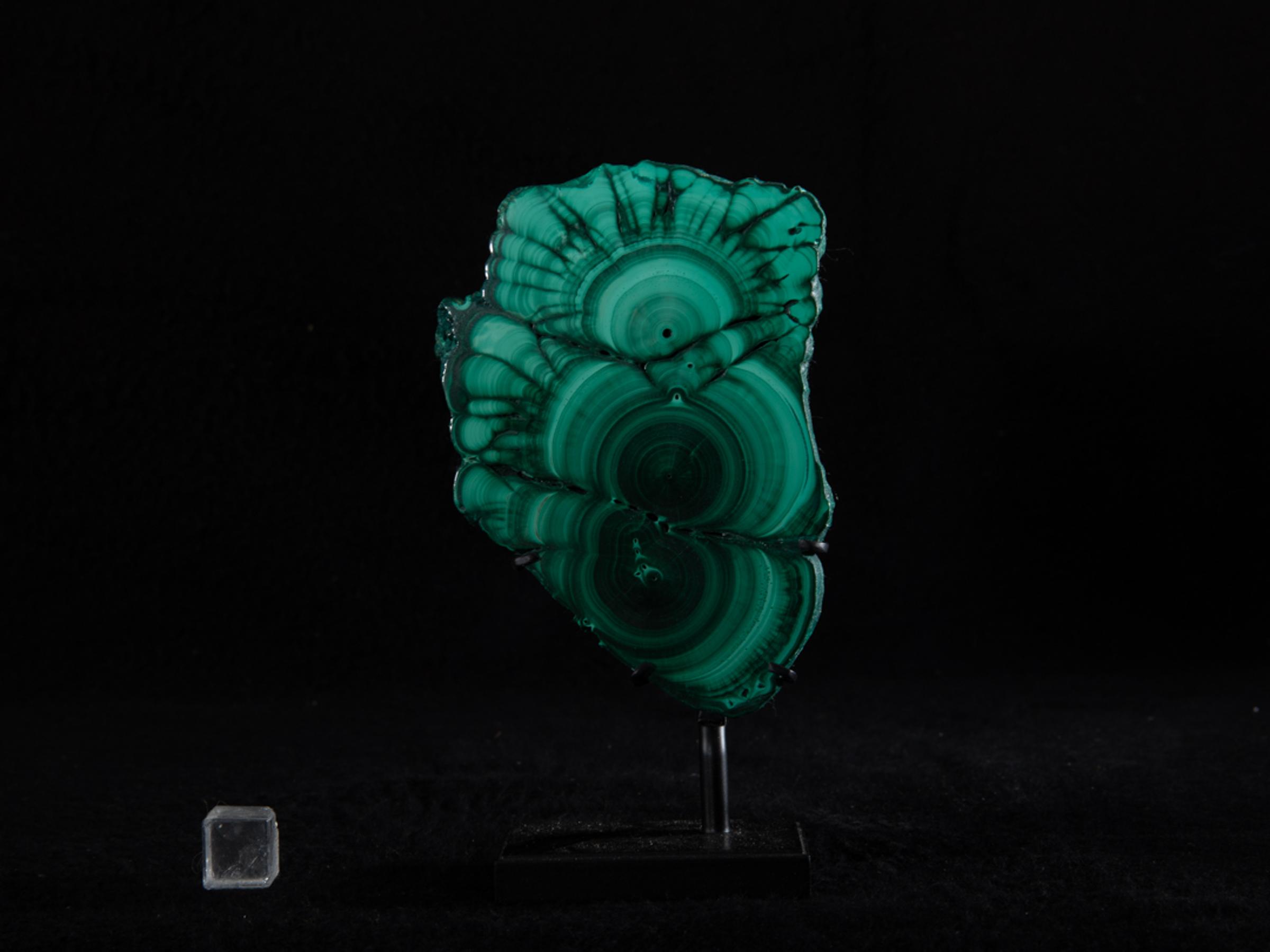Slice of malachite on custom made metal base - St1v0306 7862 - V0306