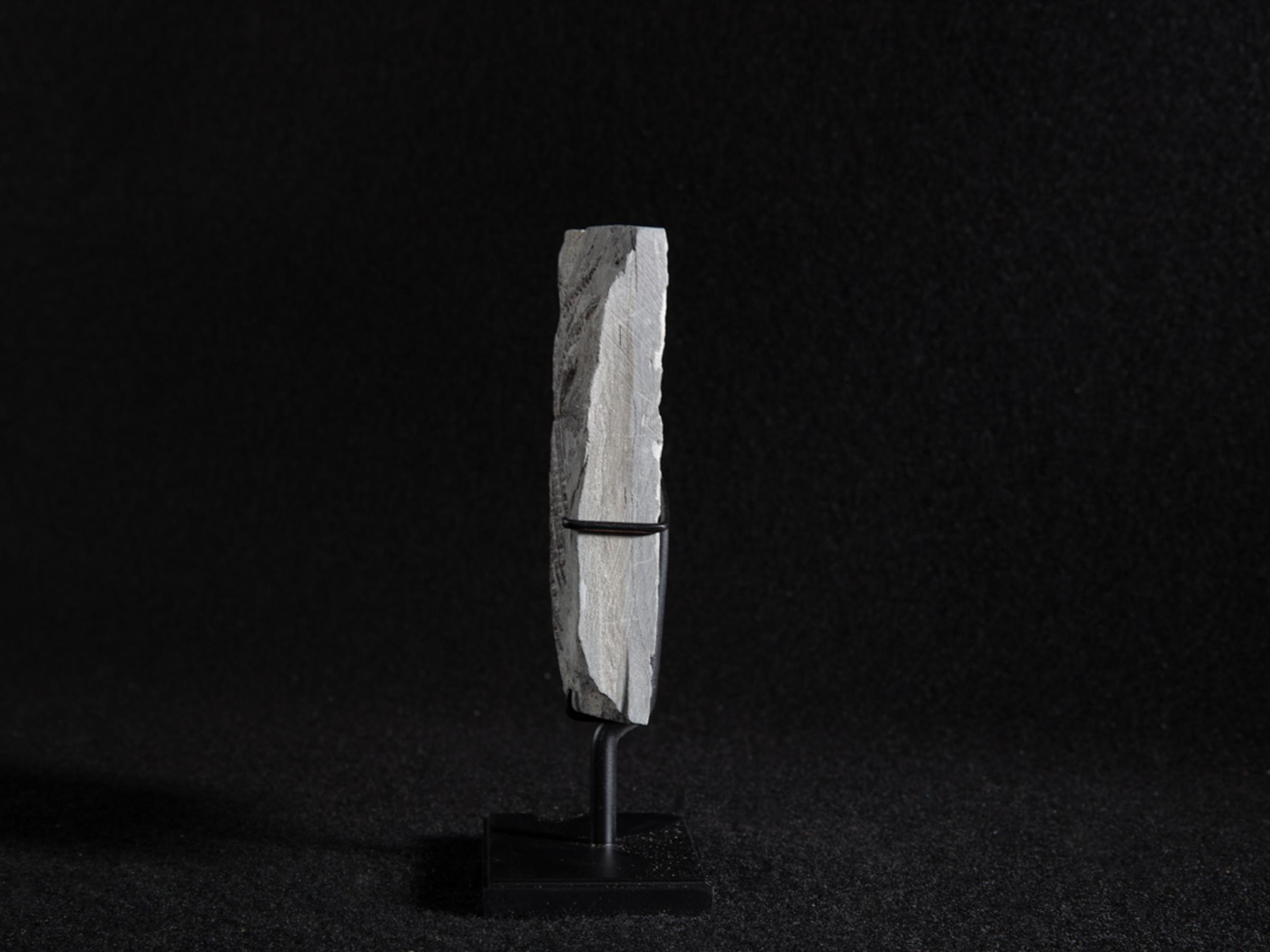 Fossil fern - Stonegalleryv0401 6 - V0401