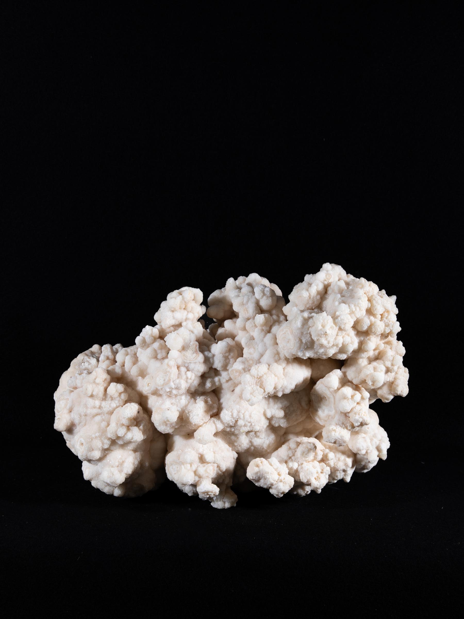 Cluster - Stonegalleryv0487 0855 - V0487