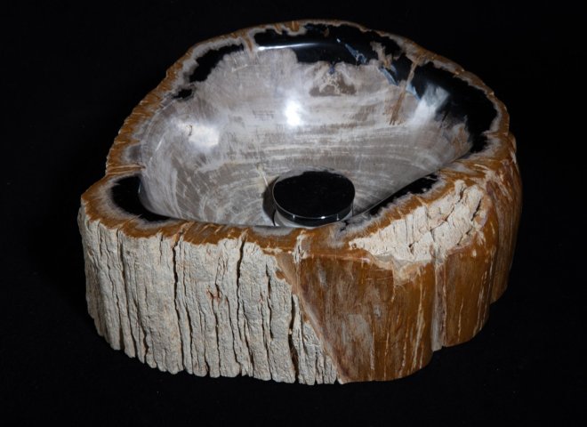 Petrified wood sink - St1galleryo0157 6897 - O0157