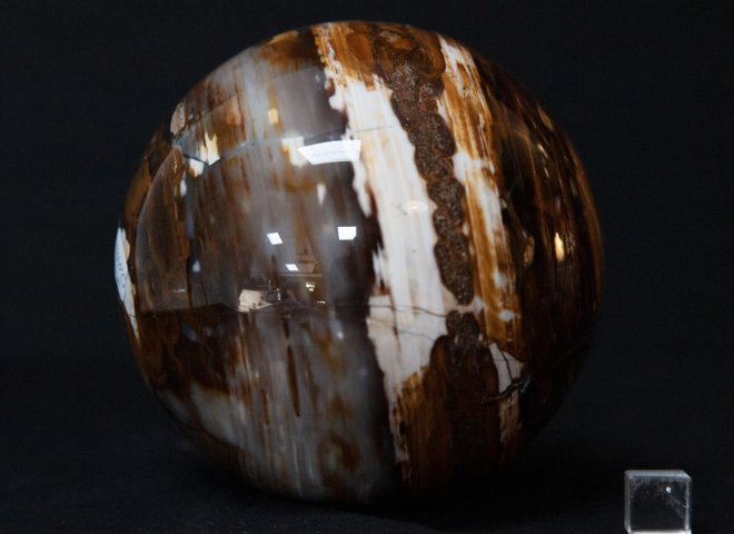 Sphere of petrified wood - St1o0102 - O0102