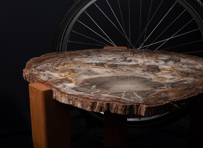 Petrified wood table - St1v0040 2 - V0040