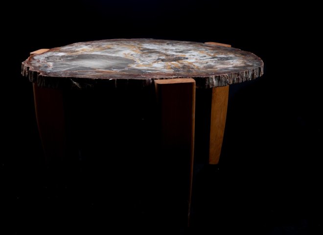 Petrified wood table - St1v0040 - V0040